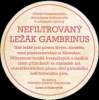 Plzeň - Gambrinus